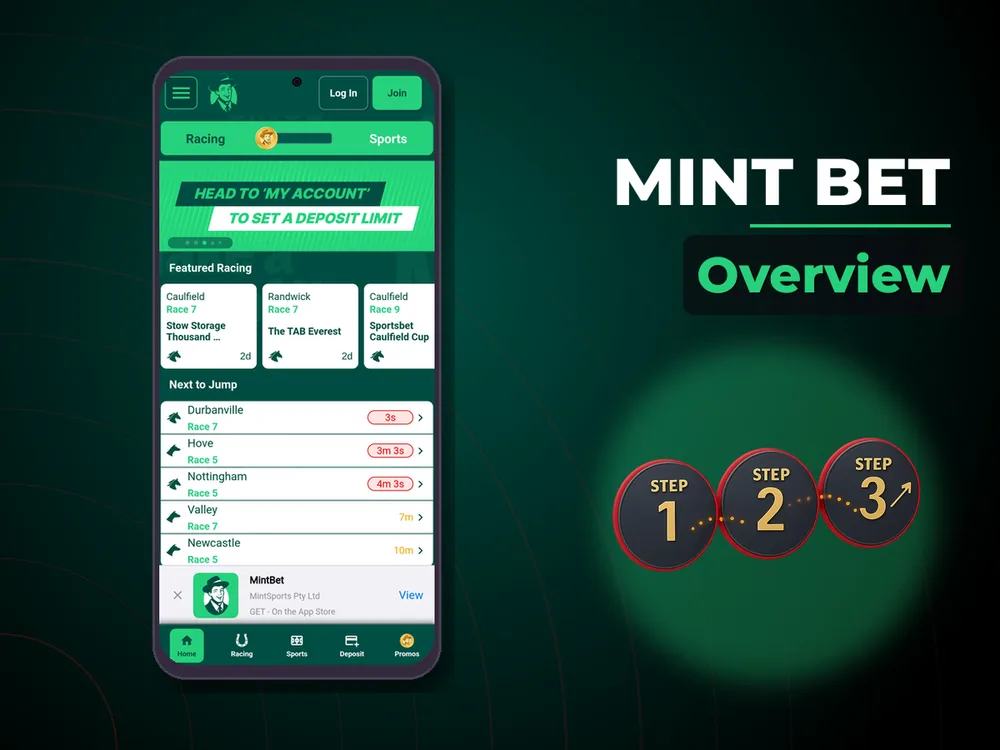 Mint Bet - Overview